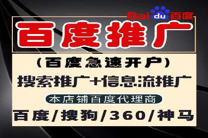 成功sem公司的策略与执行